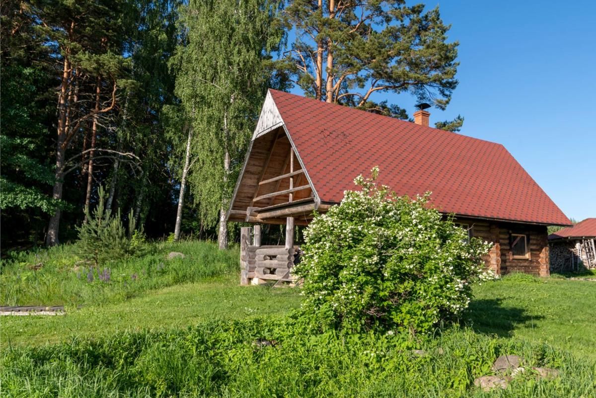 Дома для отпуска Mesikamäe Puhkemaja Пылва