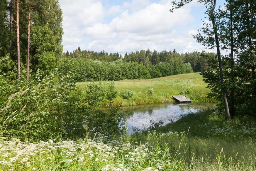 Дома для отпуска Mesikamäe Puhkemaja Пылва