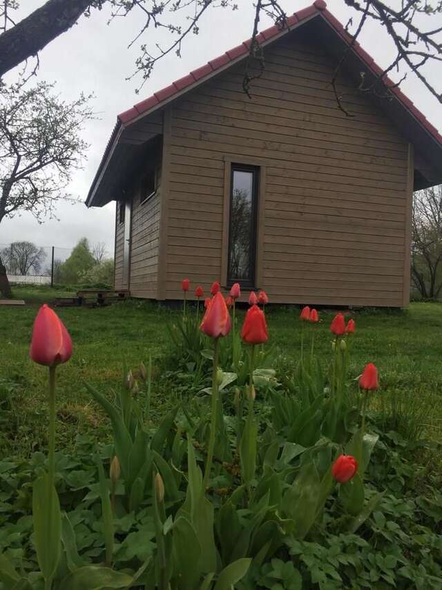 Дома для отпуска Holiday house Ausekļa namiņš Цесис-23