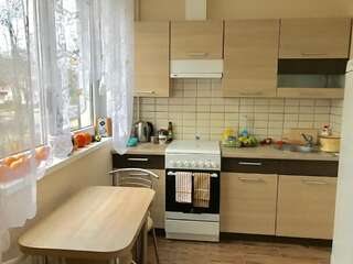 Апартаменты Central and cozy 2 rooms apartment Клайпеда Апартаменты с 1 спальней-9