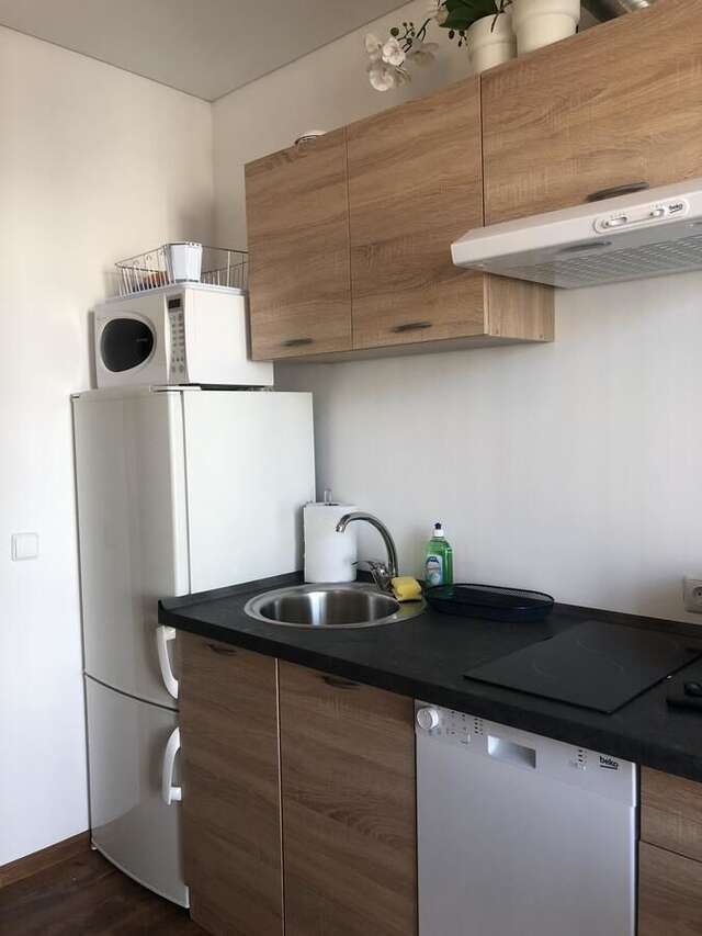 Апартаменты Ozas Apartment 1 and 2 Вильнюс-20