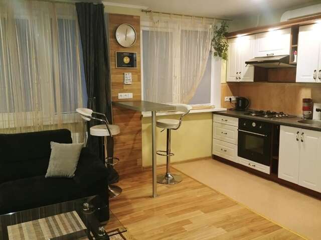 Апартаменты Apartamentai Dana Бирштонас-57