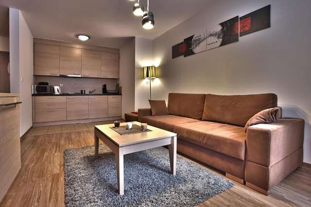 Апартаменты Apartamenty Sun & Snow Krynica Zdrój Крыница-Здруй-74