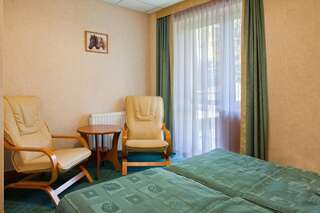 Отель Hotel Henryk Крыница-Здруй Двухместный номер Делюкс с 1 кроватью и дополнительной кроватью-4