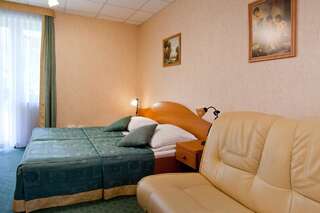 Отель Hotel Henryk Крыница-Здруй Двухместный номер Делюкс с 1 кроватью и дополнительной кроватью-1