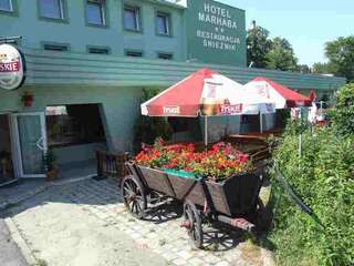 Отель Hotel Śnieżnik Клодзко