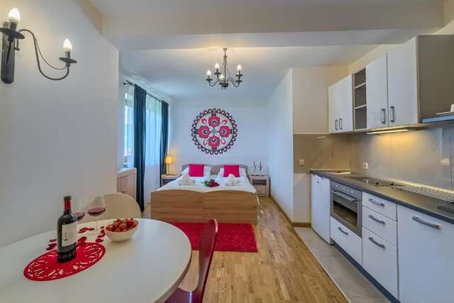 Апарт-отели Aparthotel Delta Białka Бялка-Татшаньска-52