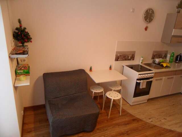 Апартаменты Apartament Kraszewskiego Крыница-Здруй-38