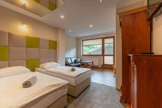 Курортные отели Willa Magnat Шклярска-Поремба Двухместный номер с 2 отдельными кроватями и ванной комнатой-4
