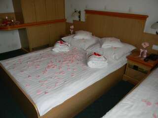 Апарт-отели Kompleks Olimpia Lux Resort & SPA Щирк Двухместный номер с 1 кроватью или 2 отдельными кроватями и пакетом спа-услуг-1