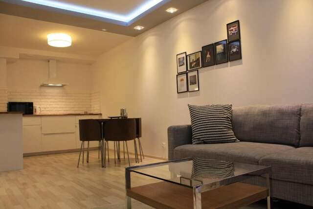 Апартаменты Apartament Aurora Шклярска-Поремба-27