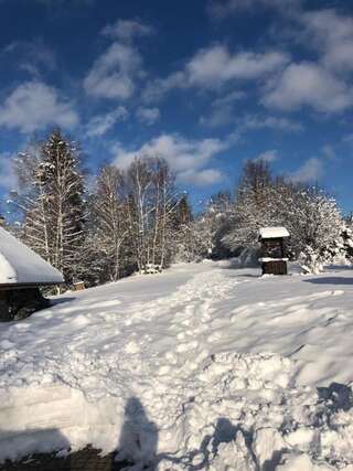 Виллы Top Mountain Villa Висла Вилла с собственным бассейном-48