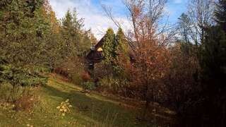 Виллы Dom na Jeżynowym Wzgórzu - Blackberry Hill Cottage Radziechowy