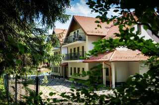Отели типа «постель и завтрак» Villa Obis Шклярска-Поремба