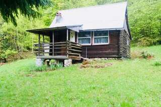 Дома для отпуска Rustic Tiny House in Polish Mountains Laliki