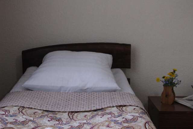 Хостелы Snow Leopard Hostel Каракол-40