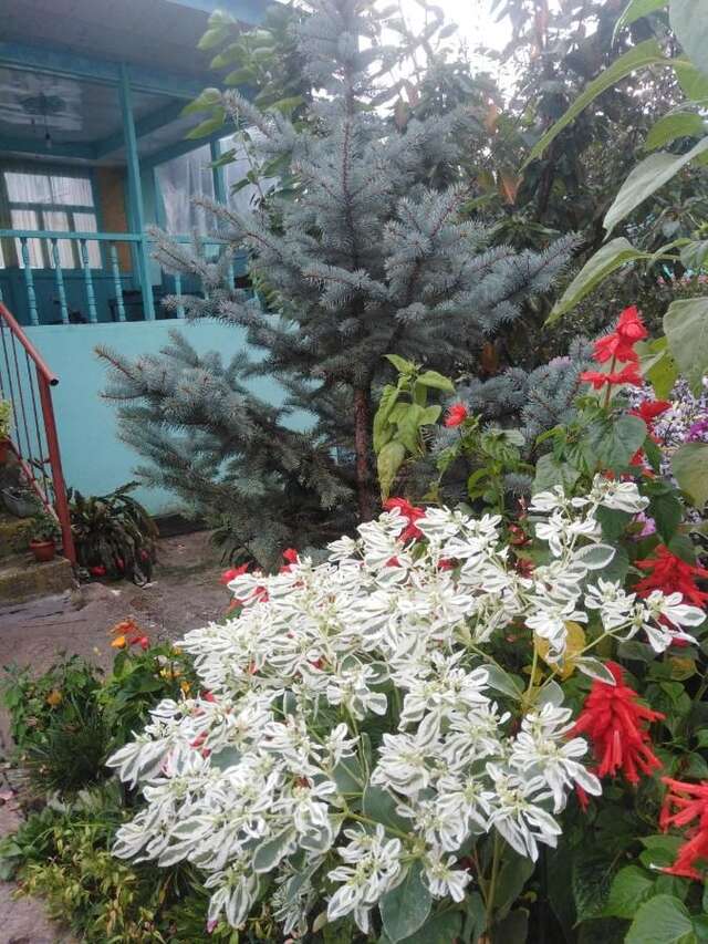 Гостевой дом Happy family Guest House Arslanbob-14