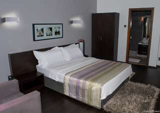 Отель Hotel Unique Bucharest Бухарест Улучшенный двухместный номер с 1 кроватью-4