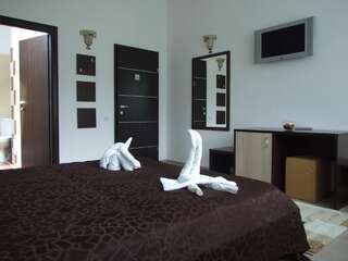 Отель Hotel Brancoveanu Моечу-де-Жос Двухместный номер эконом-класса с 1 кроватью или 2 отдельными кроватями-1