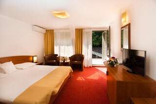 Отель Hotel Herastrau Бухарест Стандартный двухместный номер с 1 кроватью или 2 отдельными кроватями-6