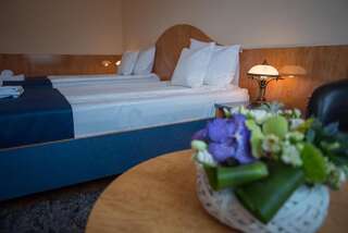 Отель Hotel Marami Синая Двухместный номер с 1 кроватью или 2 отдельными кроватями-32