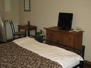 Отель Hotel Turnul Моечу-де-Жос Двухместный номер с 1 кроватью или 2 отдельными кроватями с правом посещения сауны-7