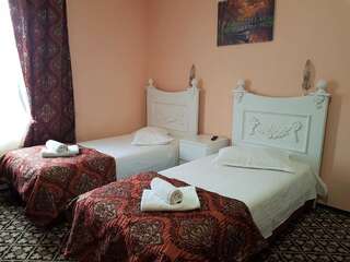 Отель Hotel Darosy Арад Двухместный номер с 2 отдельными кроватями-2