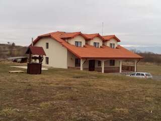 Гостевой дом Casa Vanatorilor Comana de Jos