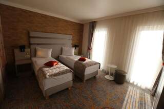 Отель Hotel Baril Хацег Улучшенный двухместный номер Делюкс с 1 кроватью или 2 отдельными кроватями-2