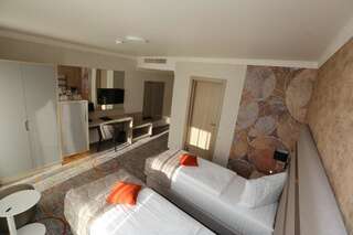 Отель Hotel Baril Хацег Улучшенный двухместный номер Делюкс с 1 кроватью или 2 отдельными кроватями-5