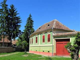 Гостевой дом Casa Arthur Richis Richişu