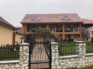 Гостевой дом Casa Antonia Chişcău