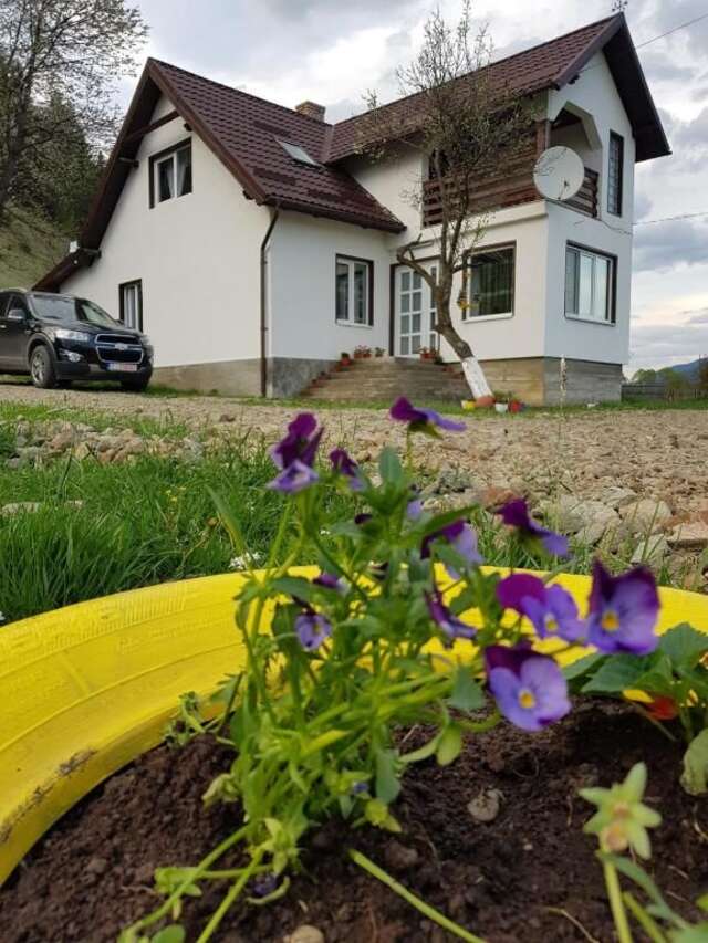 Виллы Casa ABP Ватра-Дорней-28