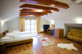 Курортные отели Resort EuroPark Fundata Брашов Двухместный номер с 1 кроватью или 2 отдельными кроватями-7