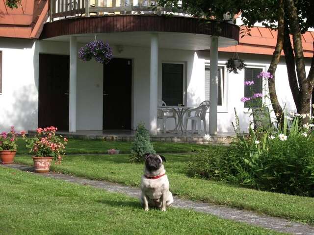 Гостевой дом Männi Guesthouse Хаапсалу-20