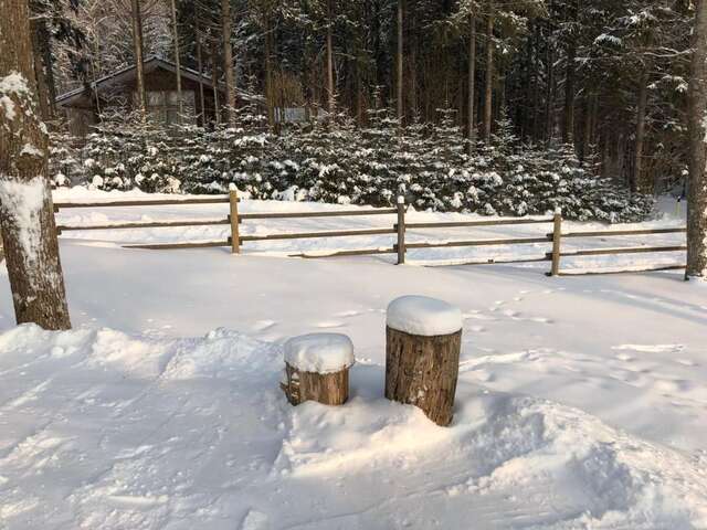 Дома для отпуска Деревянный дом с сауной и камином у леса, озера и СПА Отепя-30