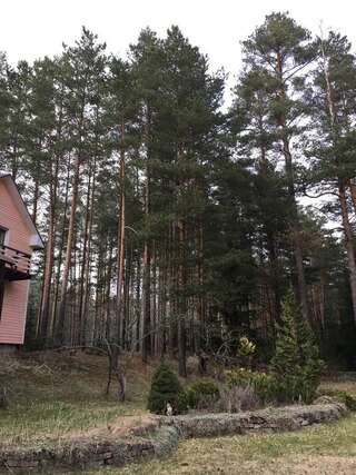 Дома для отпуска Лесной коттедж Svetofor в Narva-Jõesuu Нарва-Йыэсуу Дом с 3 спальнями-39