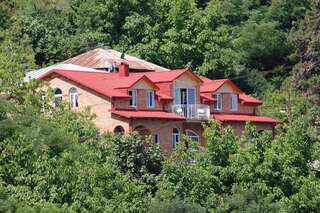 Гостевой дом Zandarashvili Guest House Сигнахи