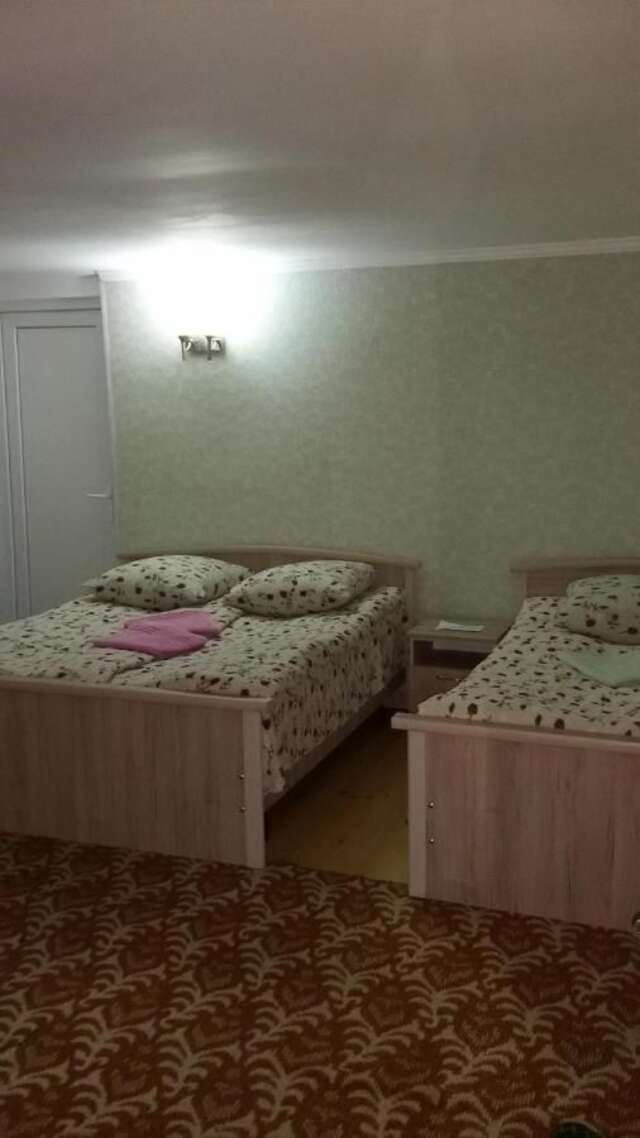 Гостевой дом Guest House Green Rose Боржоми-28