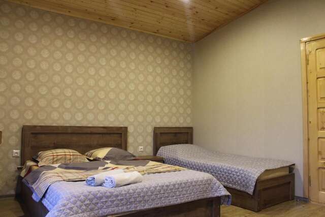 Гостевой дом Guest House on Meskheti Боржоми-25