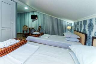 Отель HOTEL GUGLUX &WINE CELLAR Телави Большой двухместный номер с 1 кроватью или 2 отдельными кроватями-3