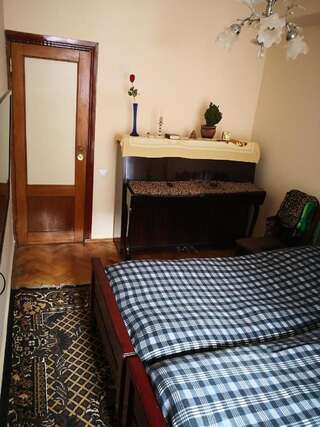 Проживание в семье Apartment Erekle Боржоми Бюджетный двухместный номер с 1 кроватью-1