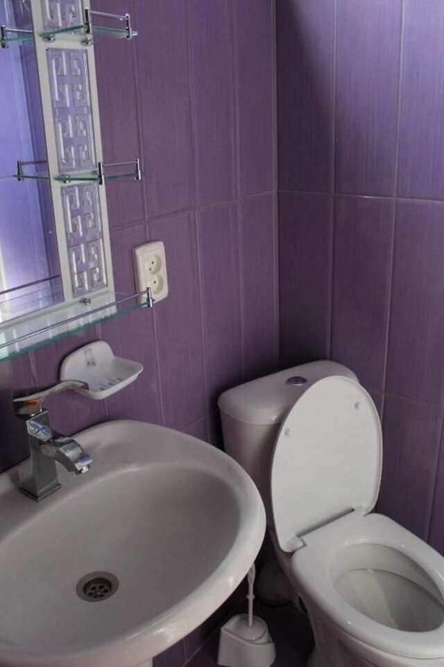 Гостевой дом Guest house Racha Амбролаури-21