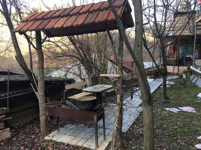 Гостевой дом Guest House Shvelidze Боржоми-25