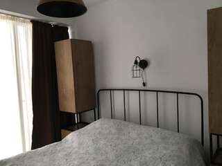 Апарт-отели Room in aparthotel Mgzavrebi X Bakuriani Бакуриани Полулюкс с балконом-42