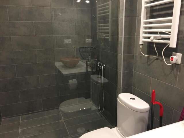 Апарт-отели Room in aparthotel Mgzavrebi X Bakuriani Бакуриани-53