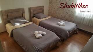 Отели типа «постель и завтрак» Hotel Shubitidze Бакуриани Двухместный номер с 2 отдельными кроватями и собственной ванной комнатой-3