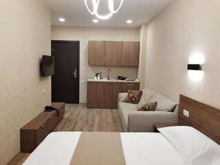 Отель Crystal Resort Бакуриани Стандартный двухместный номер с 1 кроватью-3