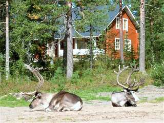 Шале Riekko Chalet Рованиеми Шале с двумя спальнями-5