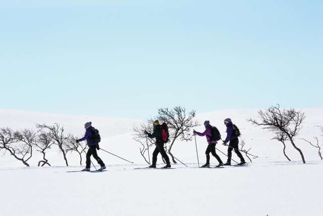 Отель Wilderness Hotel Muotka & Igloos Саариселькя-27